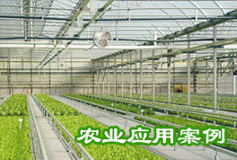 農(nóng)業(yè)應(yīng)用案例：水源熱泵機組助力恒溫大棚種植，更低運行成本